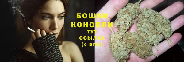 прущие грибы Алзамай
