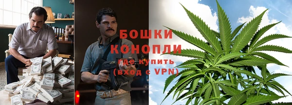 прущие грибы Алзамай