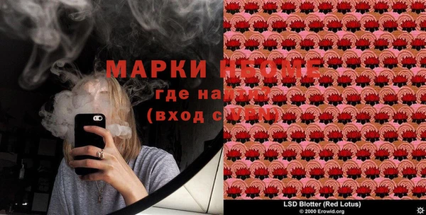 прущие грибы Алзамай
