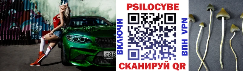 Псилоцибиновые грибы GOLDEN TEACHER  Орлов 